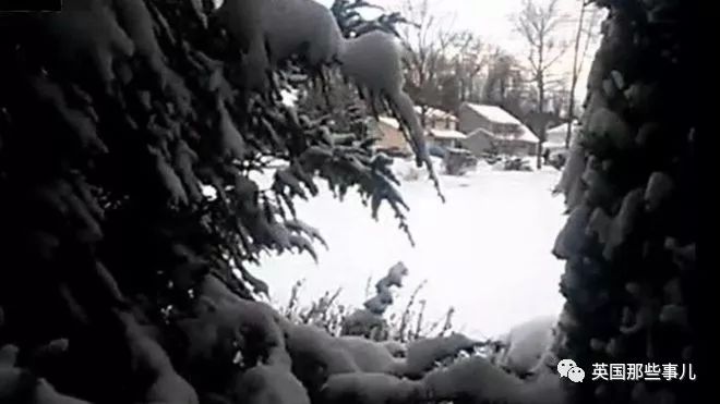 一场看图识物活动的背后,一场追捕暗网恋童癖的网络战役打响了