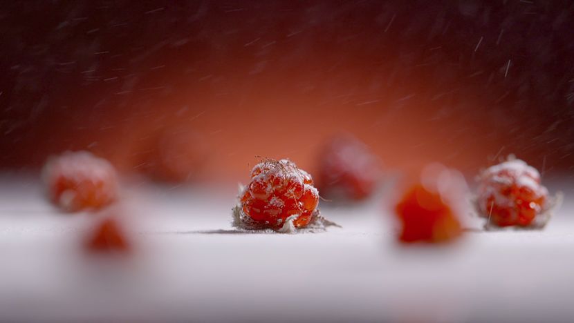 年轻女性用户达70%，纪录片也开始追求“女人缘”？