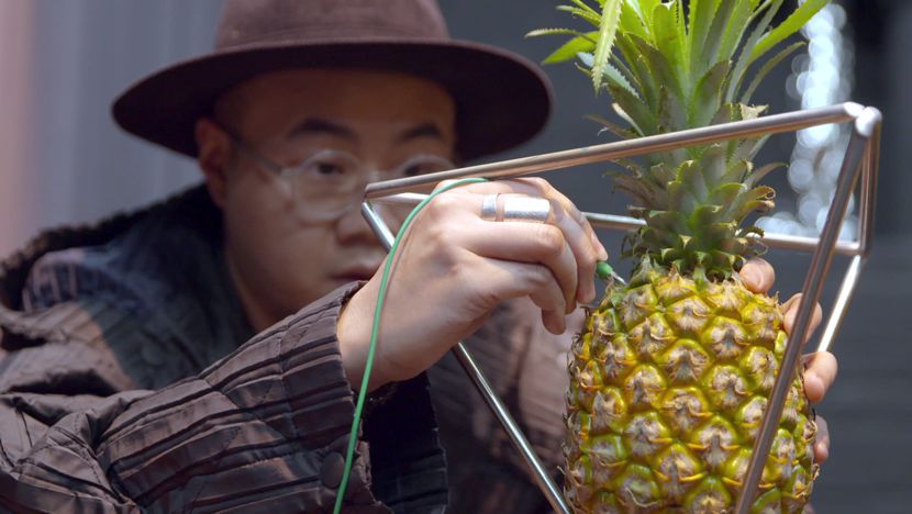 年轻女性用户达70%，纪录片也开始追求“女人缘”？