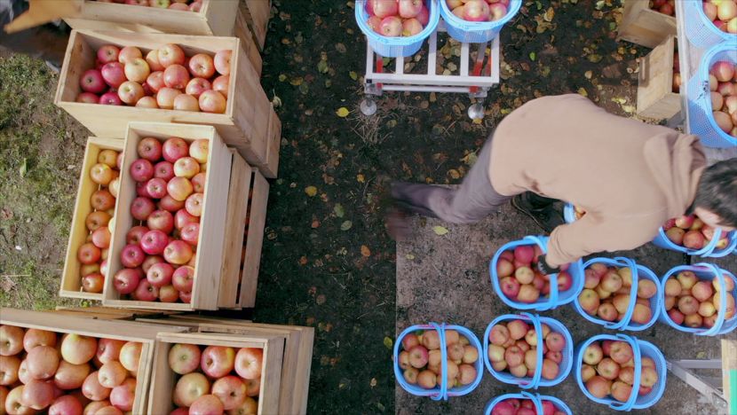 年轻女性用户达70%，纪录片也开始追求“女人缘”？