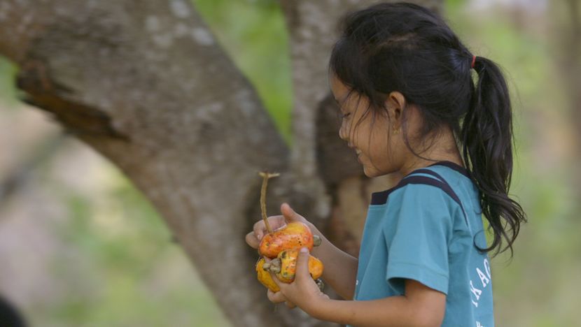 年轻女性用户达70%，纪录片也开始追求“女人缘”？