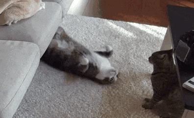 请问一下白色沙发脏了怎样清理,沙发脏了不用拆不用洗