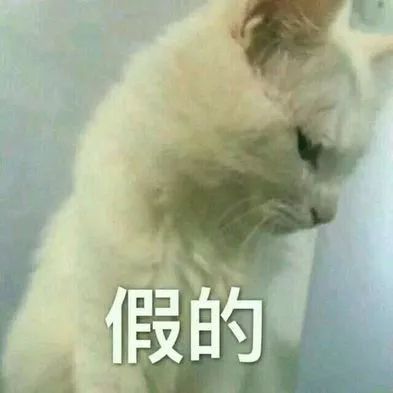 网友432元买COACH,卖家咬定是正品,他一个动作让对方封店