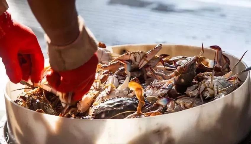 盘点能唤起乡愁的田园,能唤起乡愁的田园你还没去过