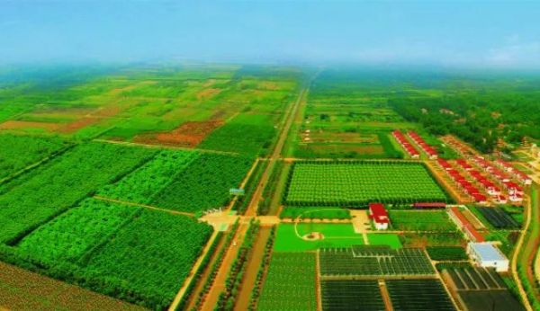 新华日报点赞沭阳,新华日报聚焦