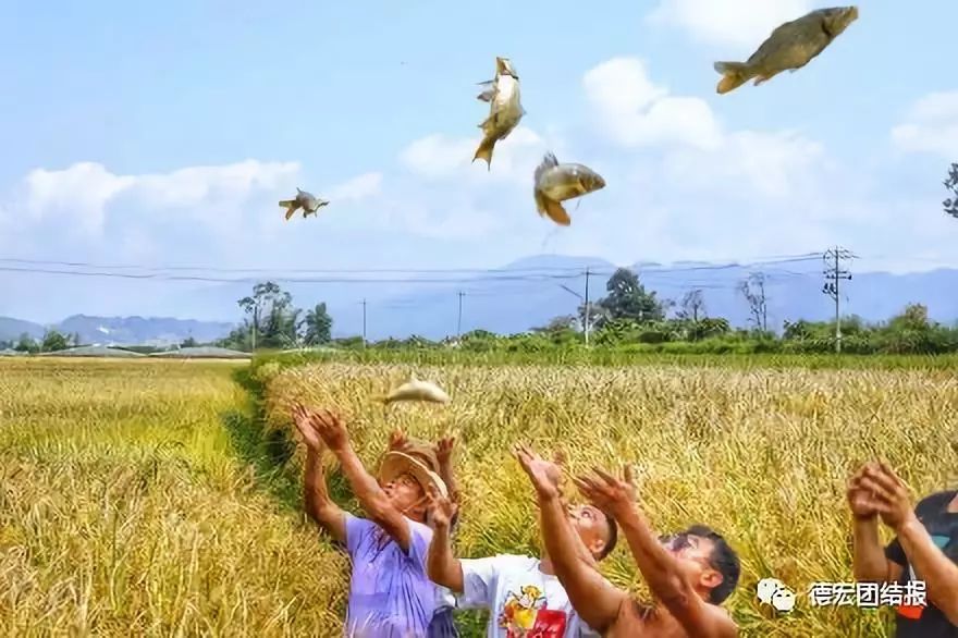 有种美叫德宏的美,有一种美叫丽江