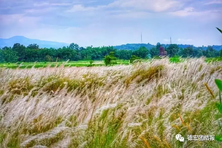 有种美叫德宏的美,有一种美叫丽江