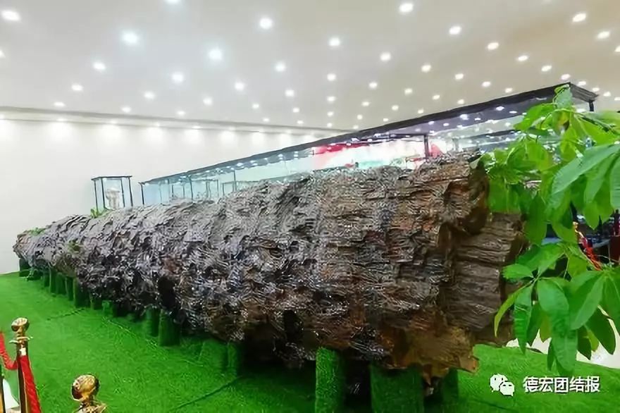 有种美叫德宏的美,有一种美叫丽江