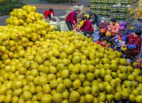 山海寻味玉环领鲜,山海寻味店