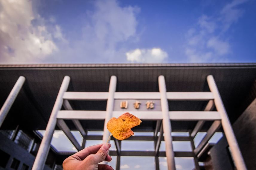 中国人民大学2020年博士研究生招生简章