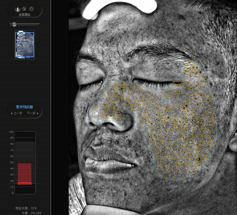 五周年免费皮肤手感,五周年限定皮肤免费体验