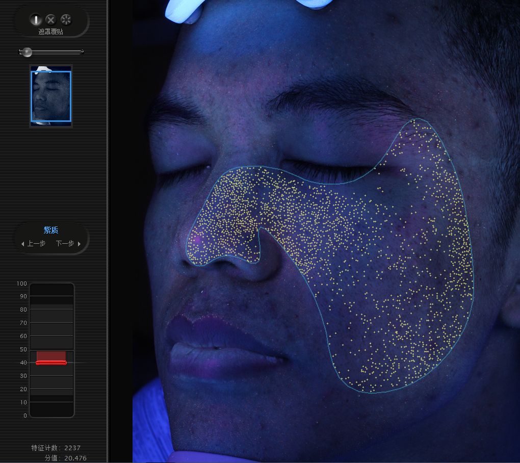 五周年免费皮肤手感,五周年限定皮肤免费体验