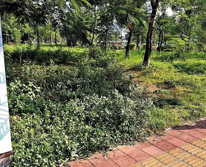 不文明行为随手拍持续曝光脏乱差,不文明行为曝光台机动车乱停乱放