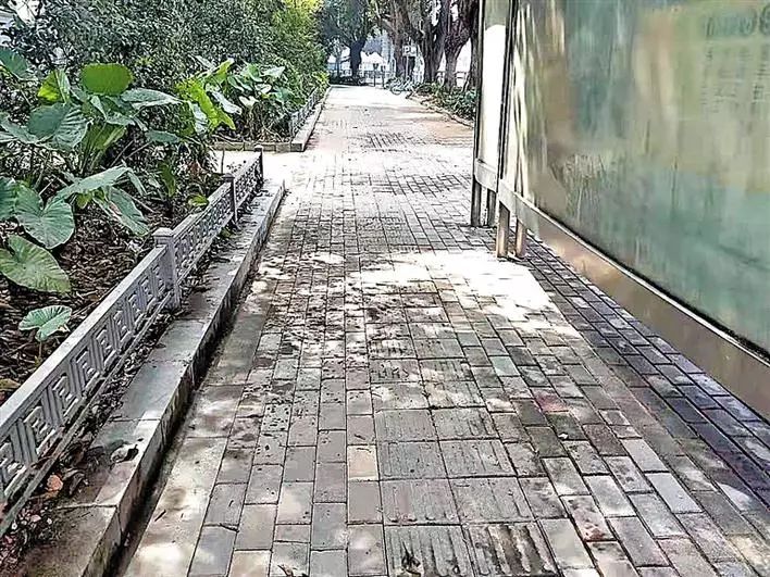 不文明行为随手拍持续曝光脏乱差,不文明行为曝光台机动车乱停乱放