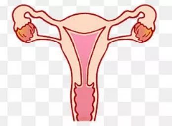 熊猫血产妇生子遇劫！医生艺高人胆大，徒手上阵翻子宫……