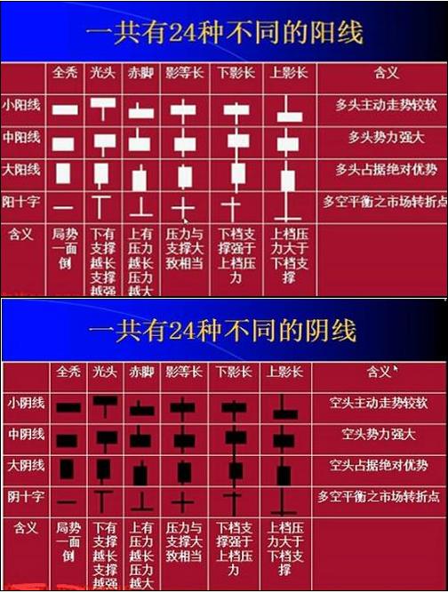 北大女教授讲金融,北大女金融博士