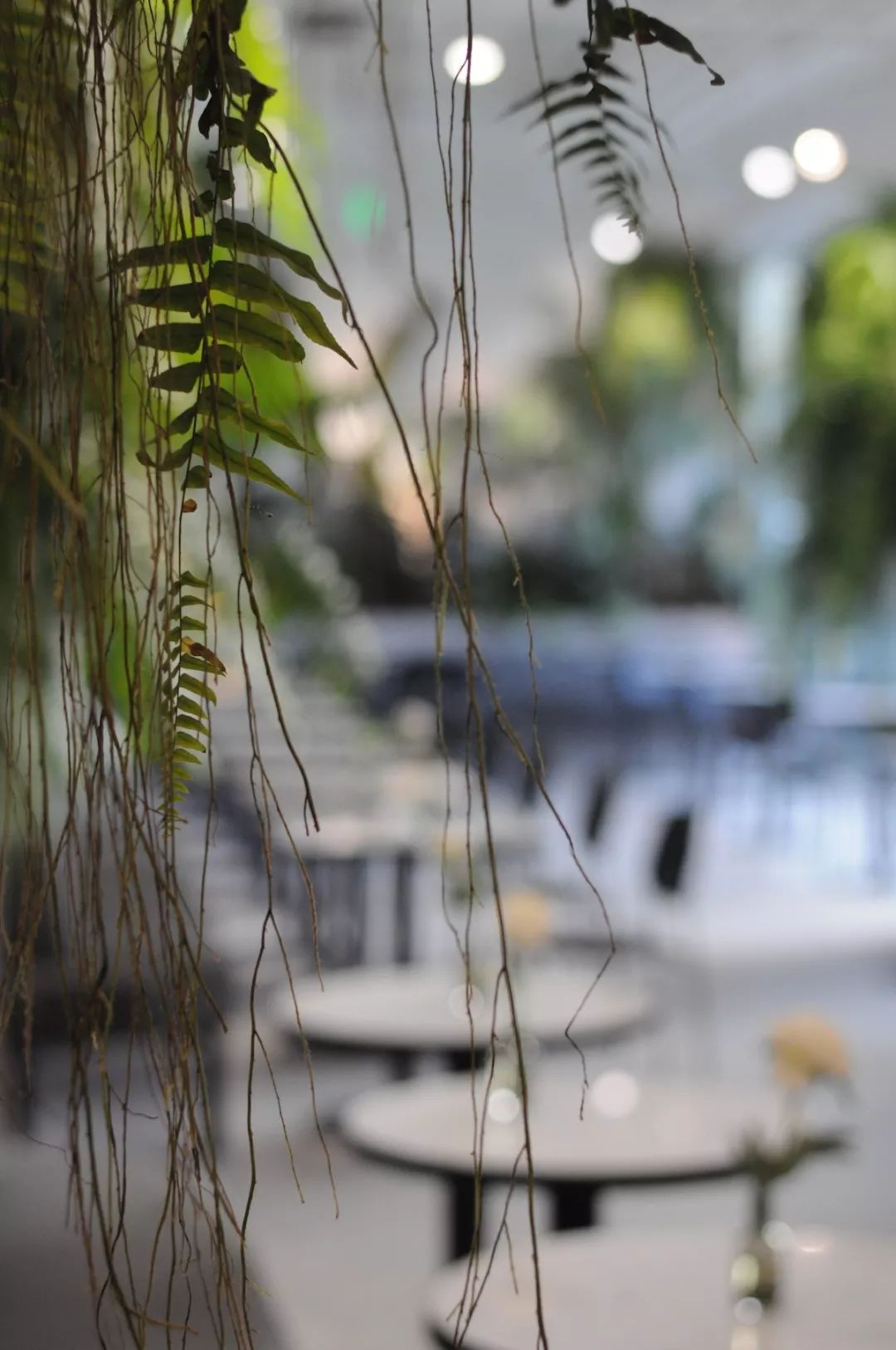 上海逛街的地方推荐,上海周末去哪儿玩