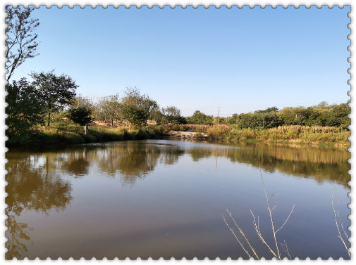 閲庢垬钃濋搏閽撻奔,閲庢垬钃濋搏