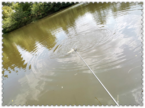 閲庢垬钃濋搏閽撻奔,閲庢垬钃濋搏