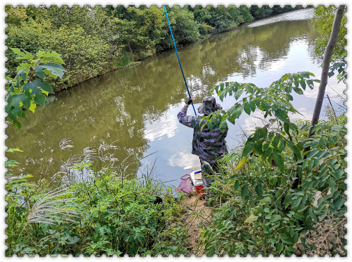 閲庢垬钃濋搏閽撻奔,閲庢垬钃濋搏