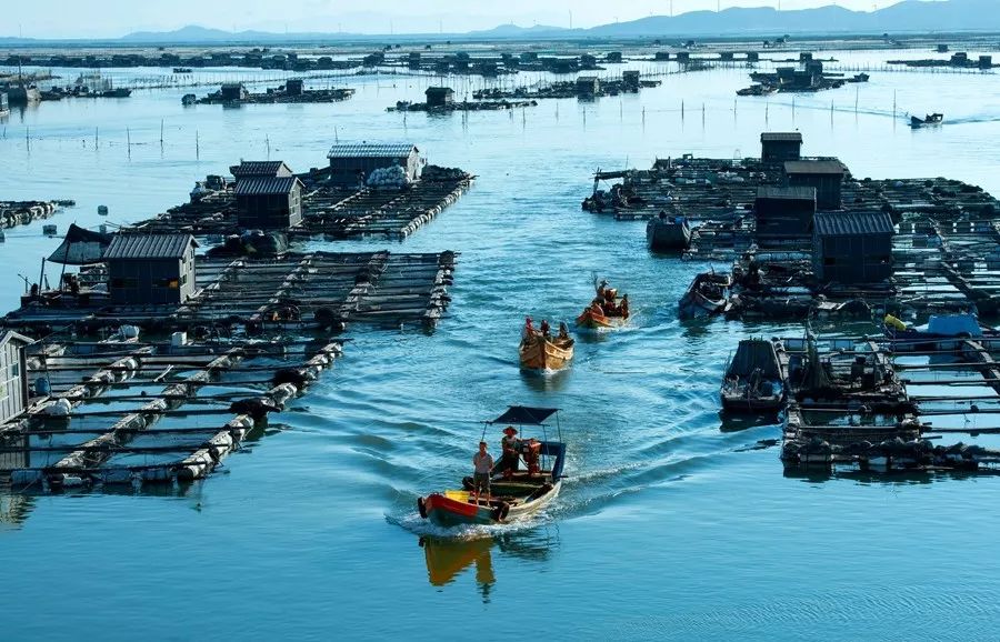 福建漳州穷吗,福建漳州为什么出名