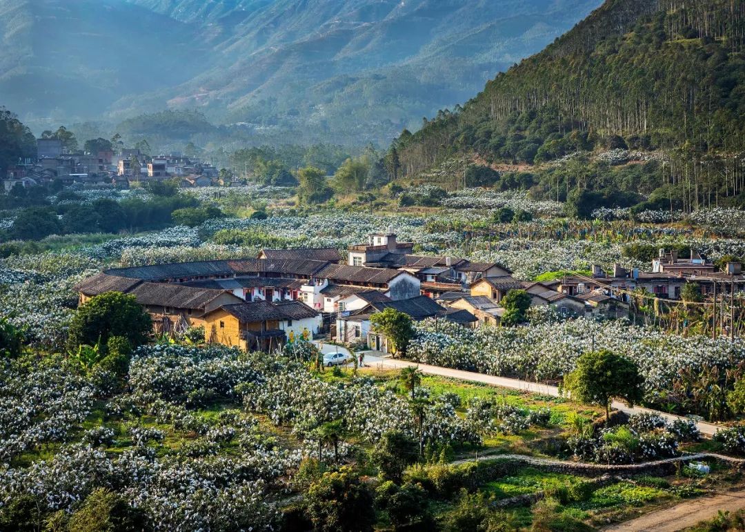 福建漳州穷吗,福建漳州为什么出名