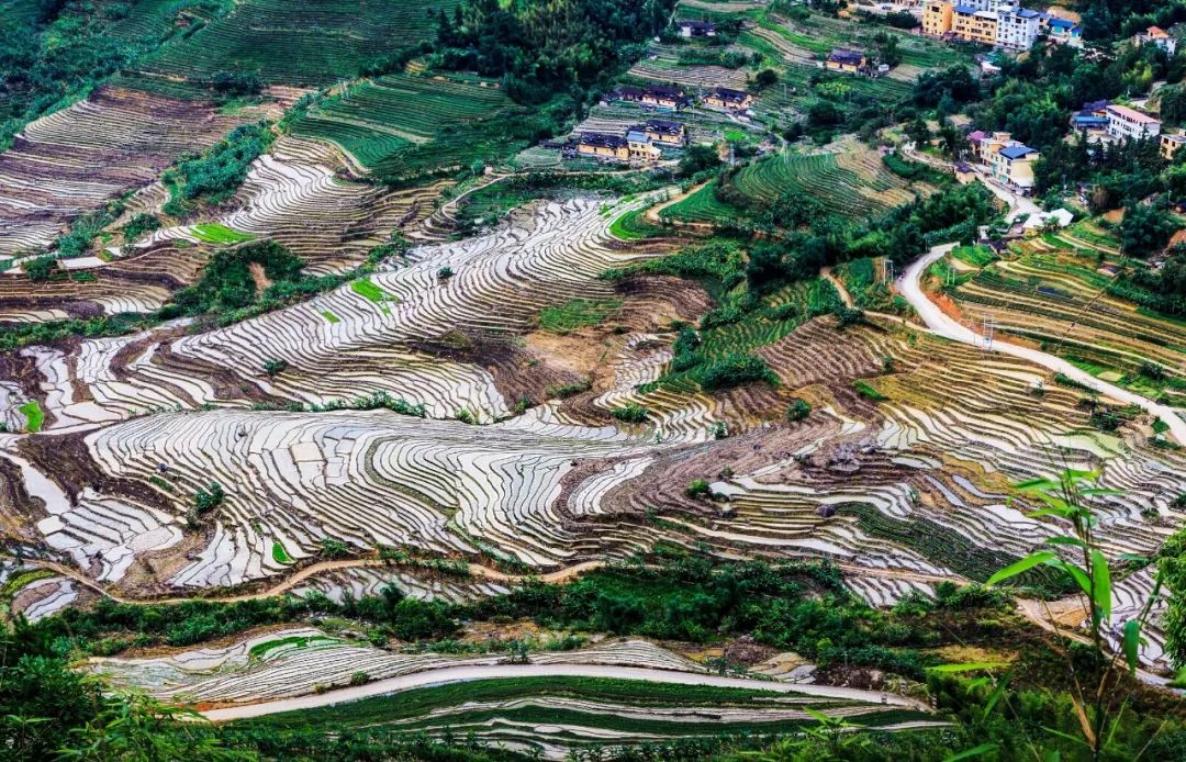 福建漳州穷吗,福建漳州为什么出名