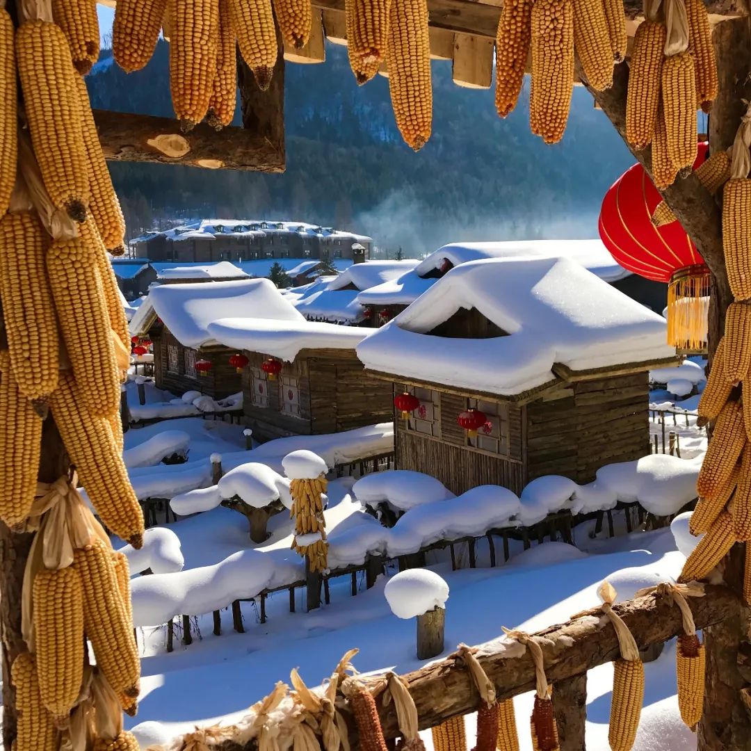 一个真实的黑龙江该是什么样,一个真实的故事黑龙江