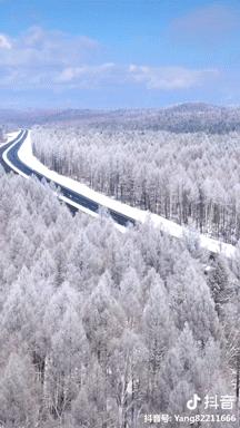 一个真实的黑龙江该是什么样,一个真实的故事黑龙江