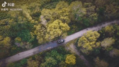 一个真实的黑龙江该是什么样,一个真实的故事黑龙江