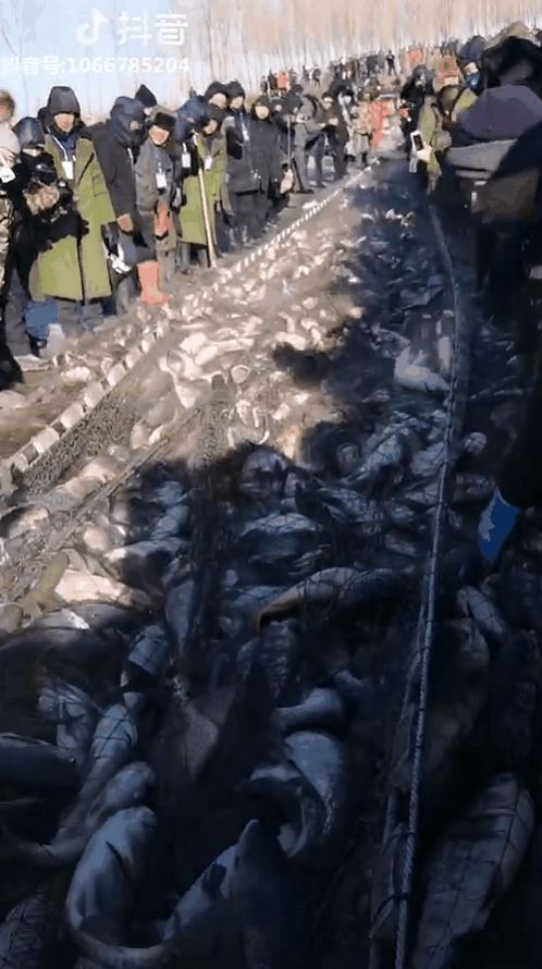 一个真实的黑龙江该是什么样,一个真实的故事黑龙江