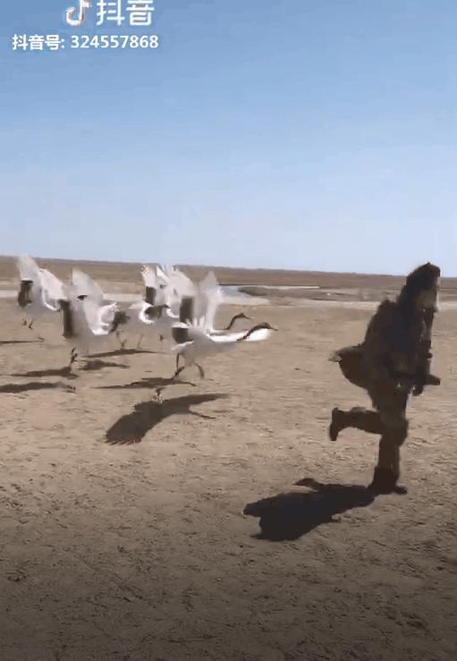 一个真实的黑龙江该是什么样,一个真实的故事黑龙江