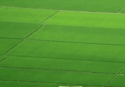 一个真实的黑龙江该是什么样,一个真实的故事黑龙江