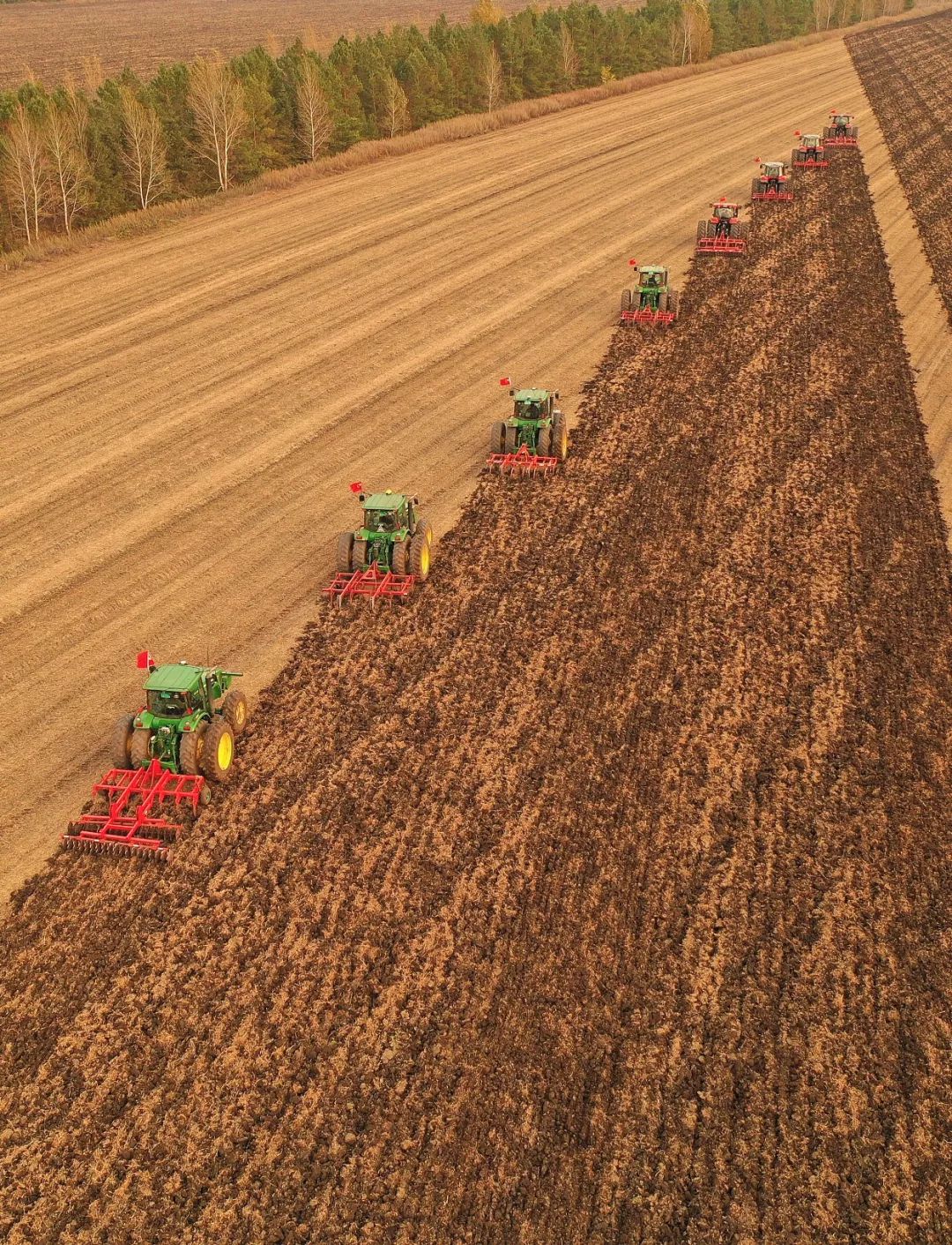 一个真实的黑龙江该是什么样,一个真实的故事黑龙江