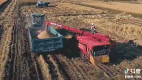 一个真实的黑龙江该是什么样,一个真实的故事黑龙江