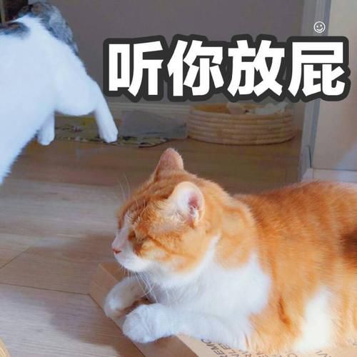 如何在暗恋的人面前表现,怎么在暗恋的人面前淡定