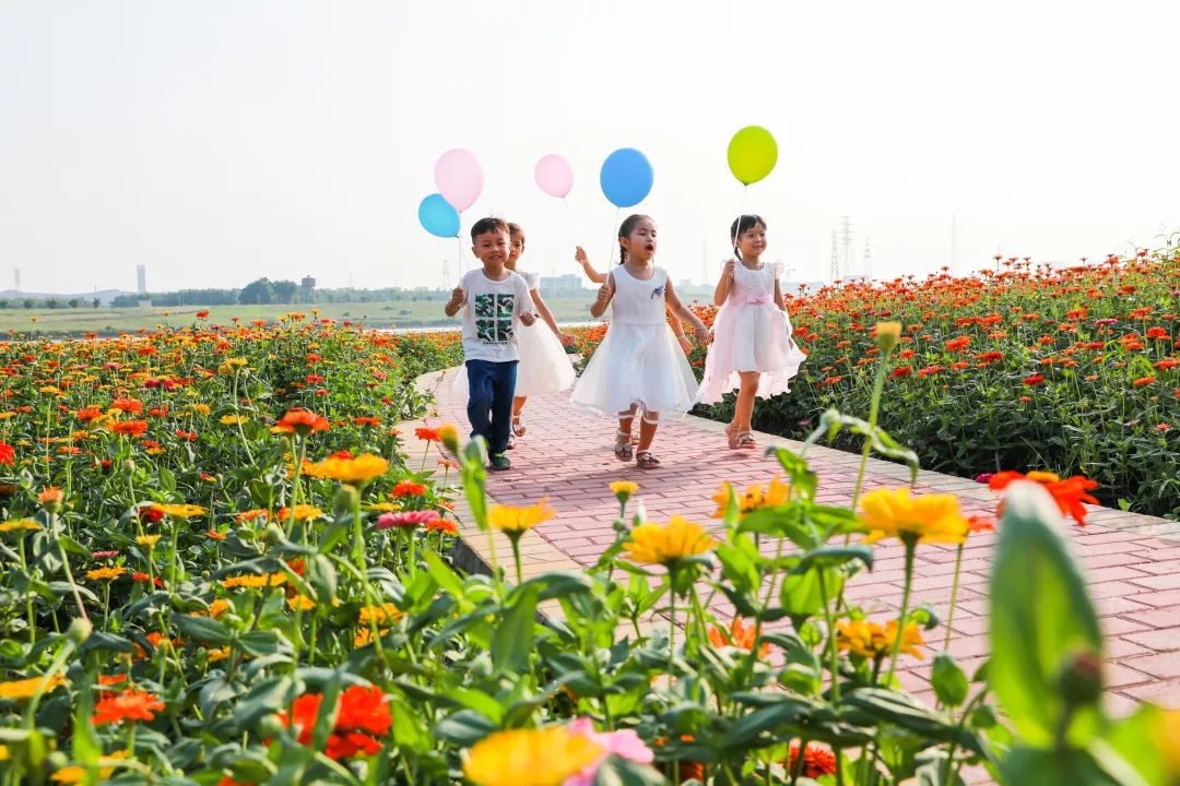 满城尽带黄金甲！在佛山，就能感受秋日童话的浪漫