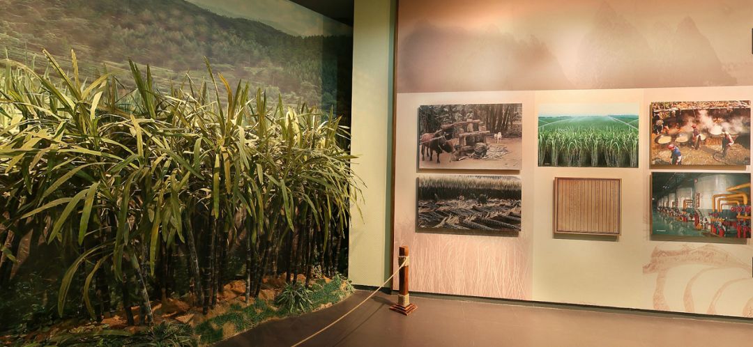 期待｜在*安门天**参加庆典的“壮美广西”彩车明天开始展出，快去C位合影