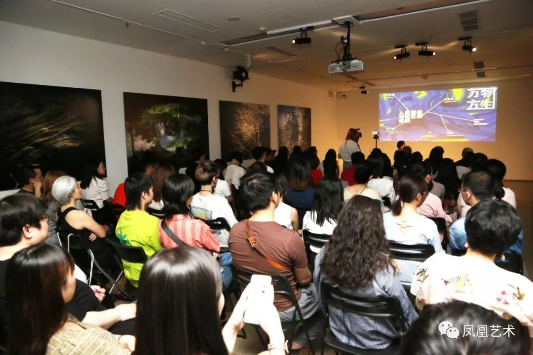 高鹏谈凤凰艺术,凤凰艺术专题