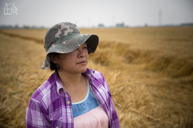 揭秘产品畅销全球的中国“情趣内衣小镇”