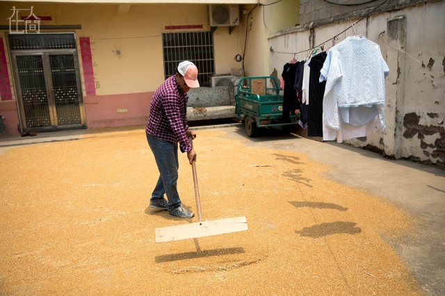 揭秘产品畅销全球的中国“情趣内衣小镇”