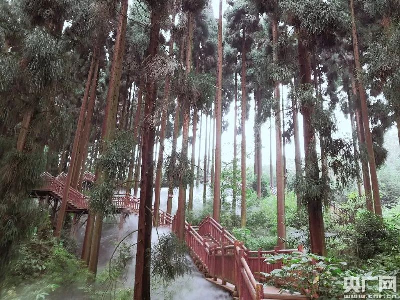 推进绿色发展促进循环发展,推动绿色转型向竞争优势转化