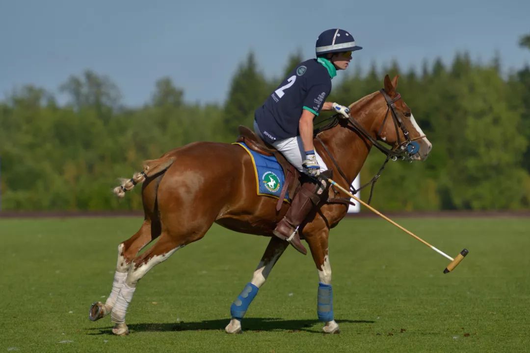 马术究竟有多烧钱,马术培养成本和利润