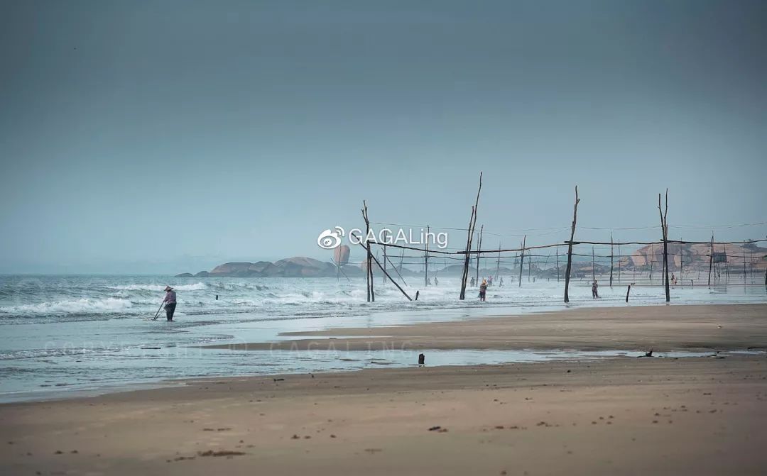 大V推荐|漳州这个鲜为人知的高颜值沙滩，海水湛蓝，还不用门票！