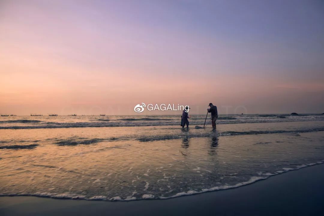 大V推荐|漳州这个鲜为人知的高颜值沙滩，海水湛蓝，还不用门票！