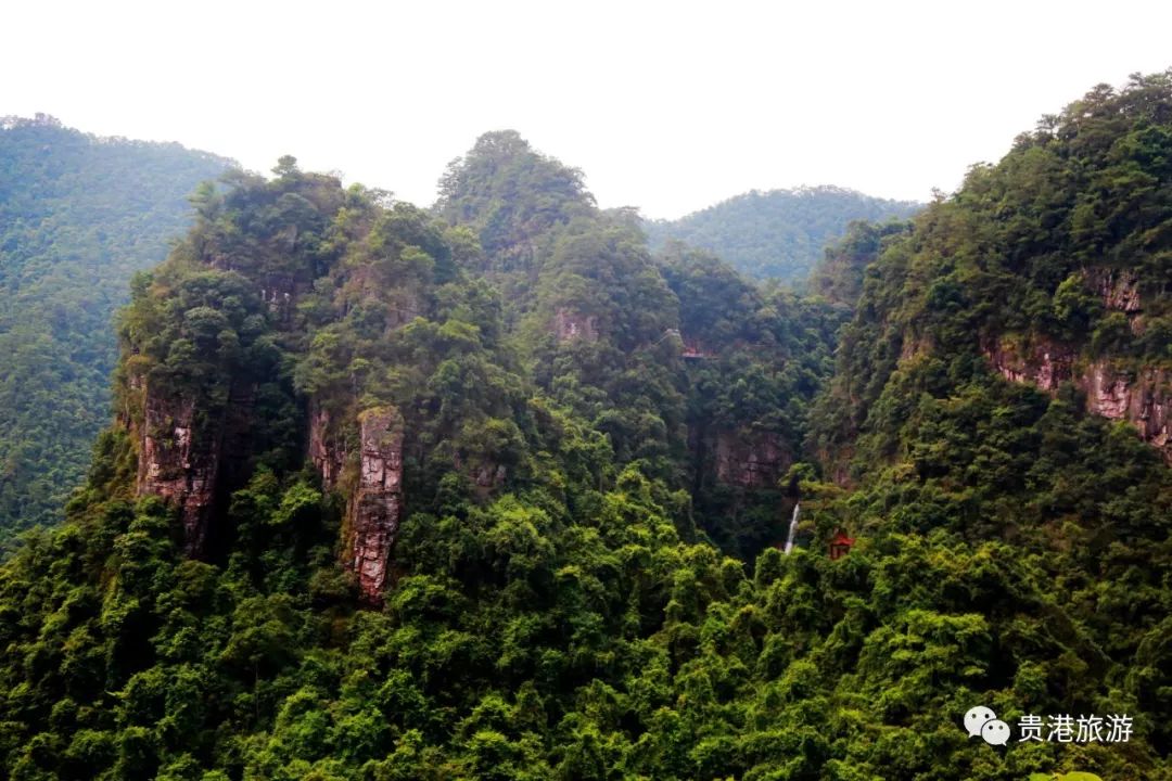 推荐|七彩天梯、野生猕猴、汽车露营……贵港龙潭国家森林公园与你不见不散