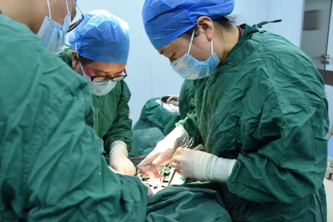 赤峰比较厉害的医生,赤峰好中医大夫