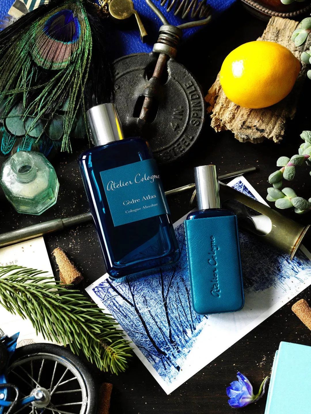 推广双十一优惠券,晒晒你的双十一购物单