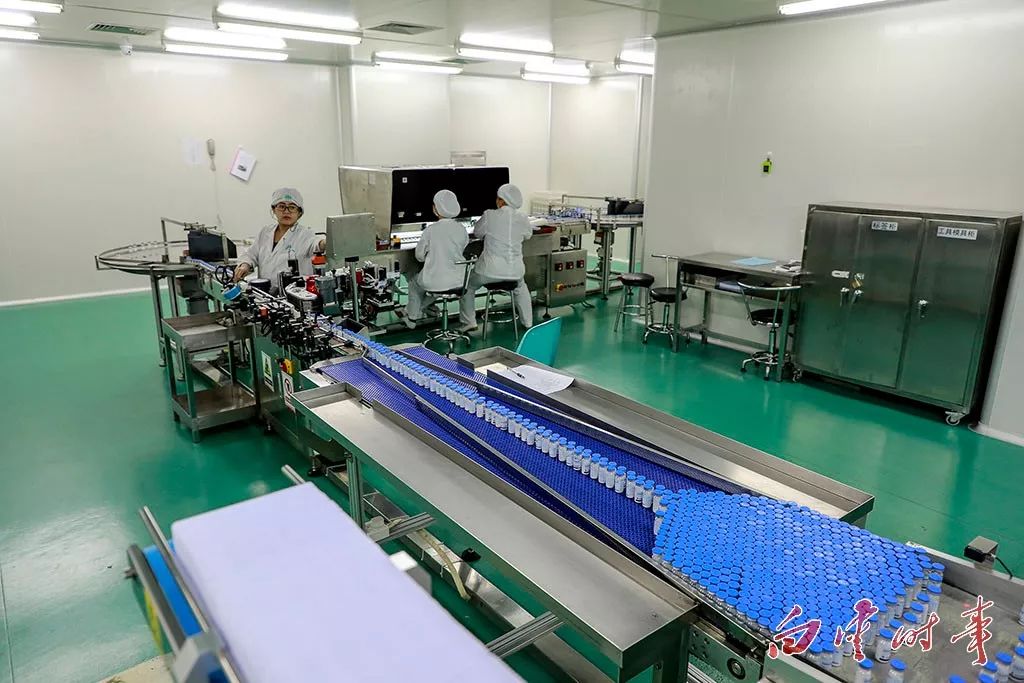 知道吗?这些家中常备药,都出自白云哦!