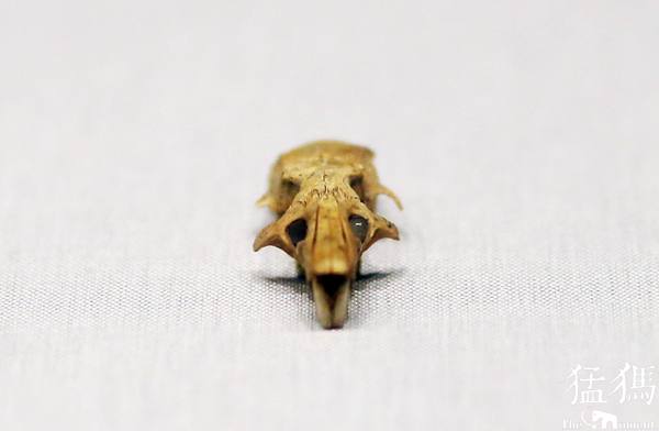 所谓的二里头夏都,二里头不能被确定为夏都的原因